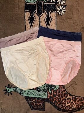 Breezies 4-Pack High Waist Briefs in Navy, Pink, Cream, Mauve